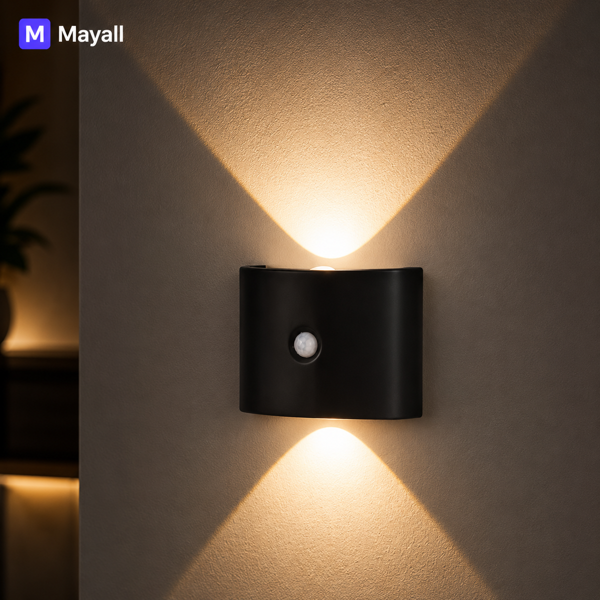 11) Mayal - Motion