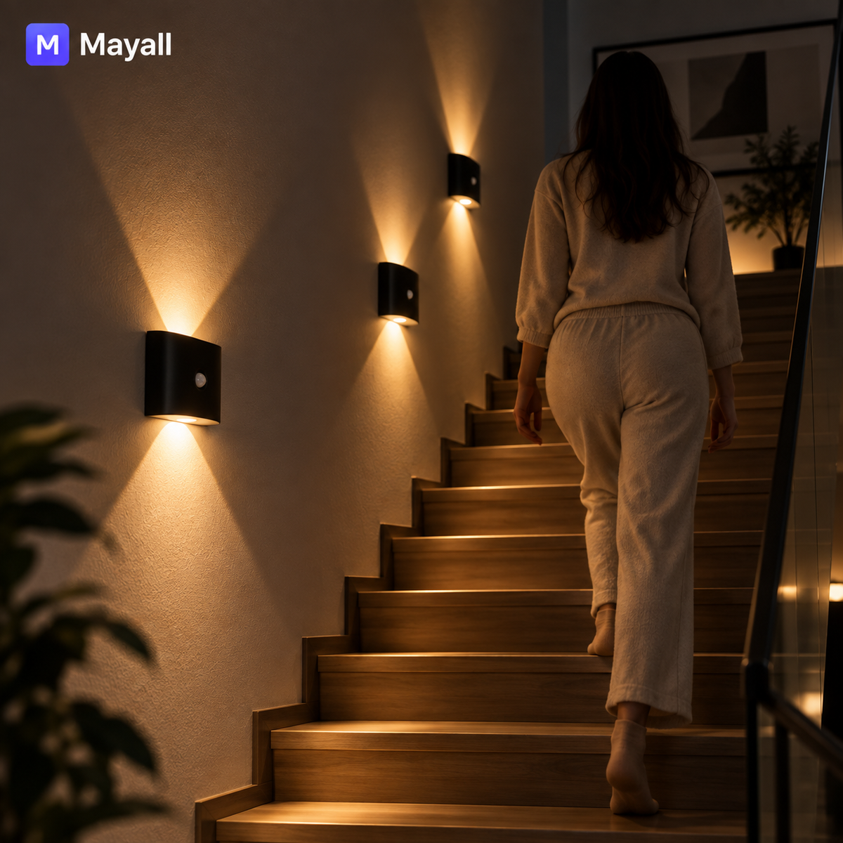 11) Mayal - Motion