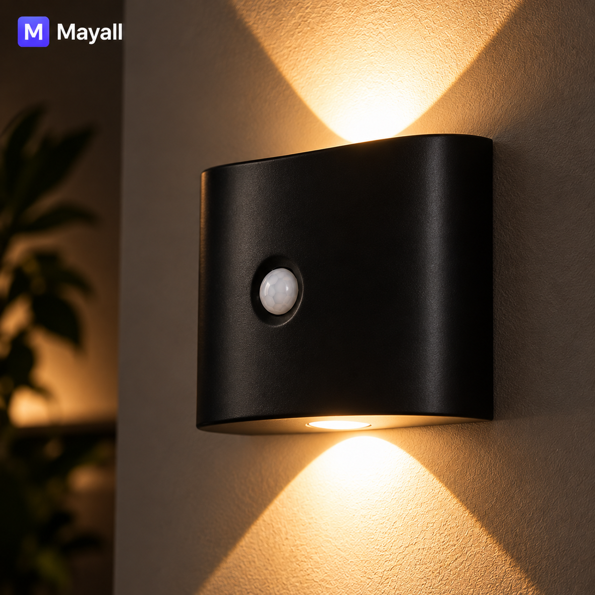 11) Mayal - Motion