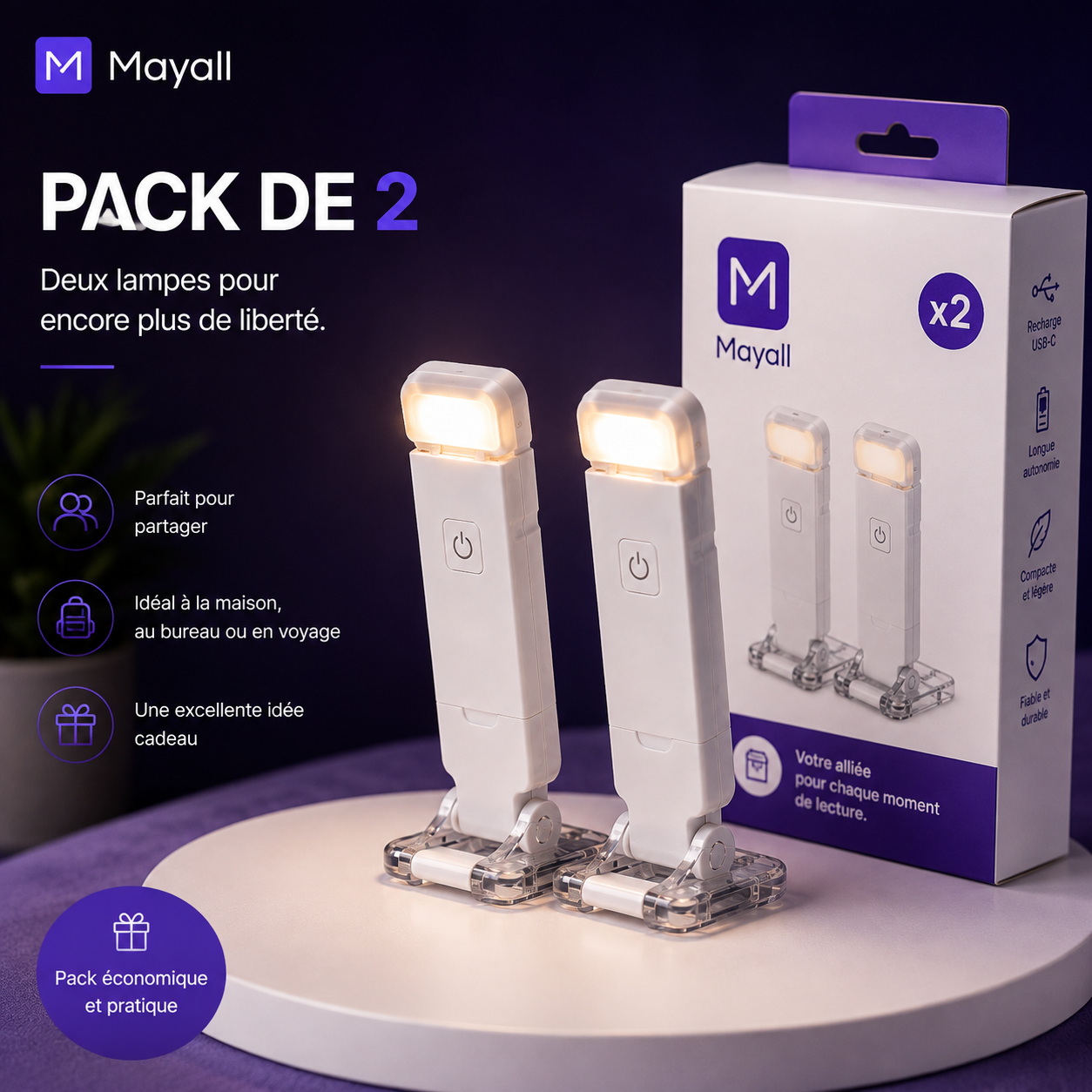 Pack de 2 lampes de lecture Mayall rechargeables