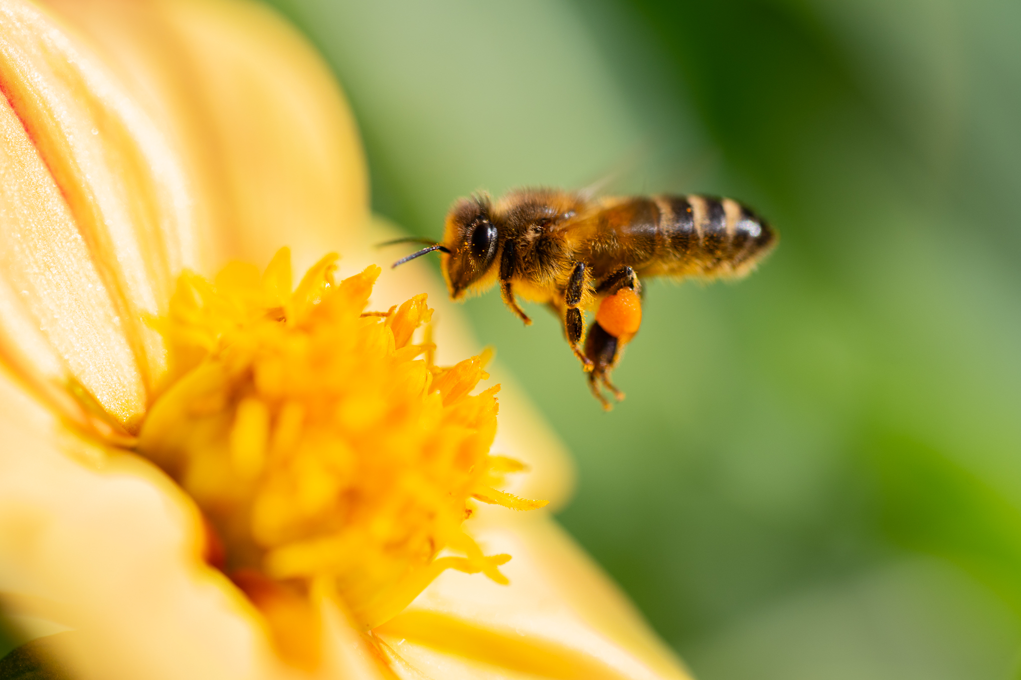 Photo 20251011121825017752