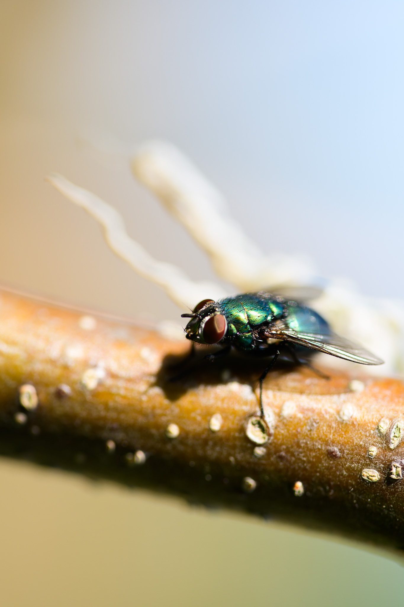 Photo 2025101217090001762