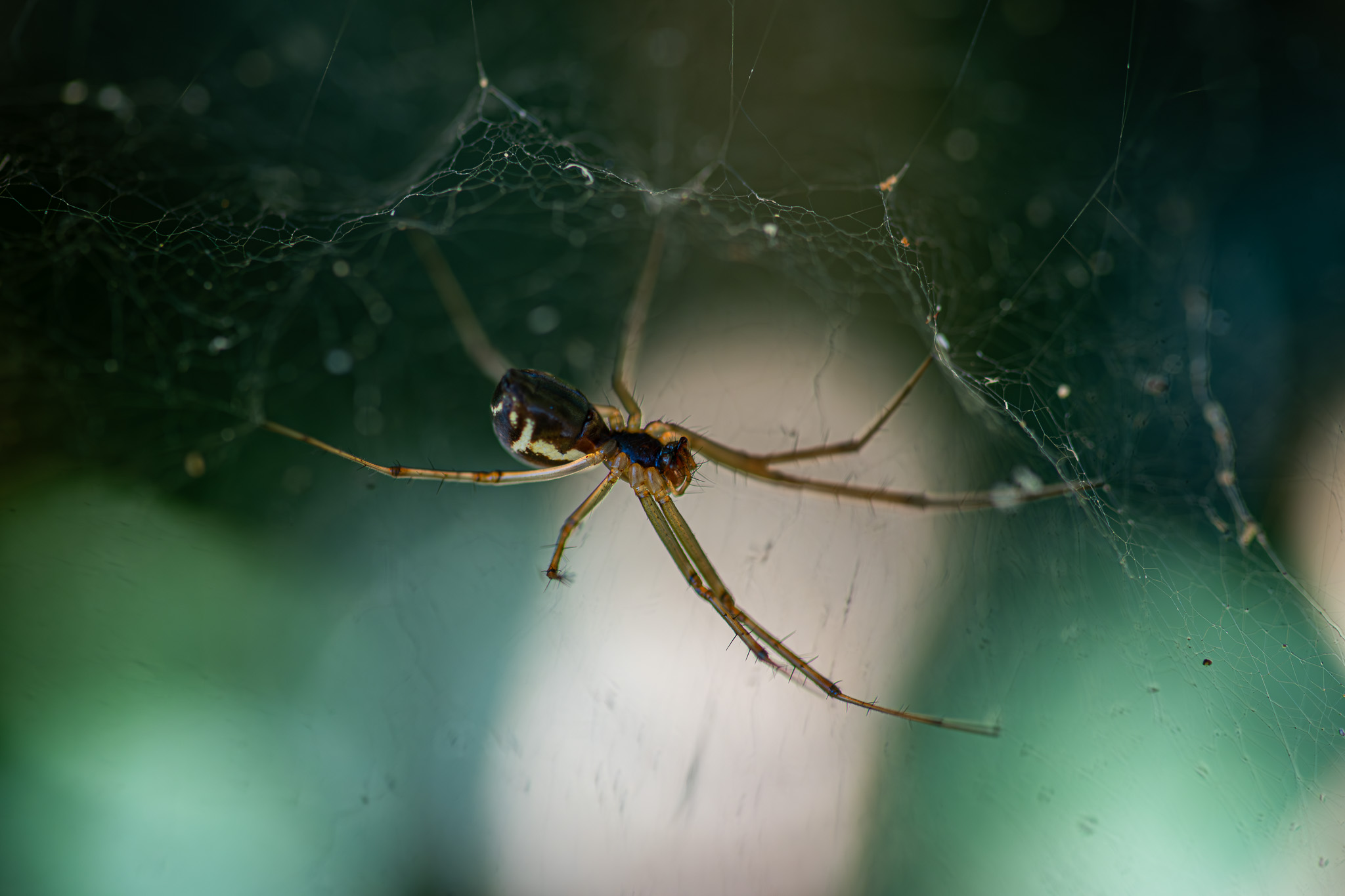 Photo 2025101217105931825