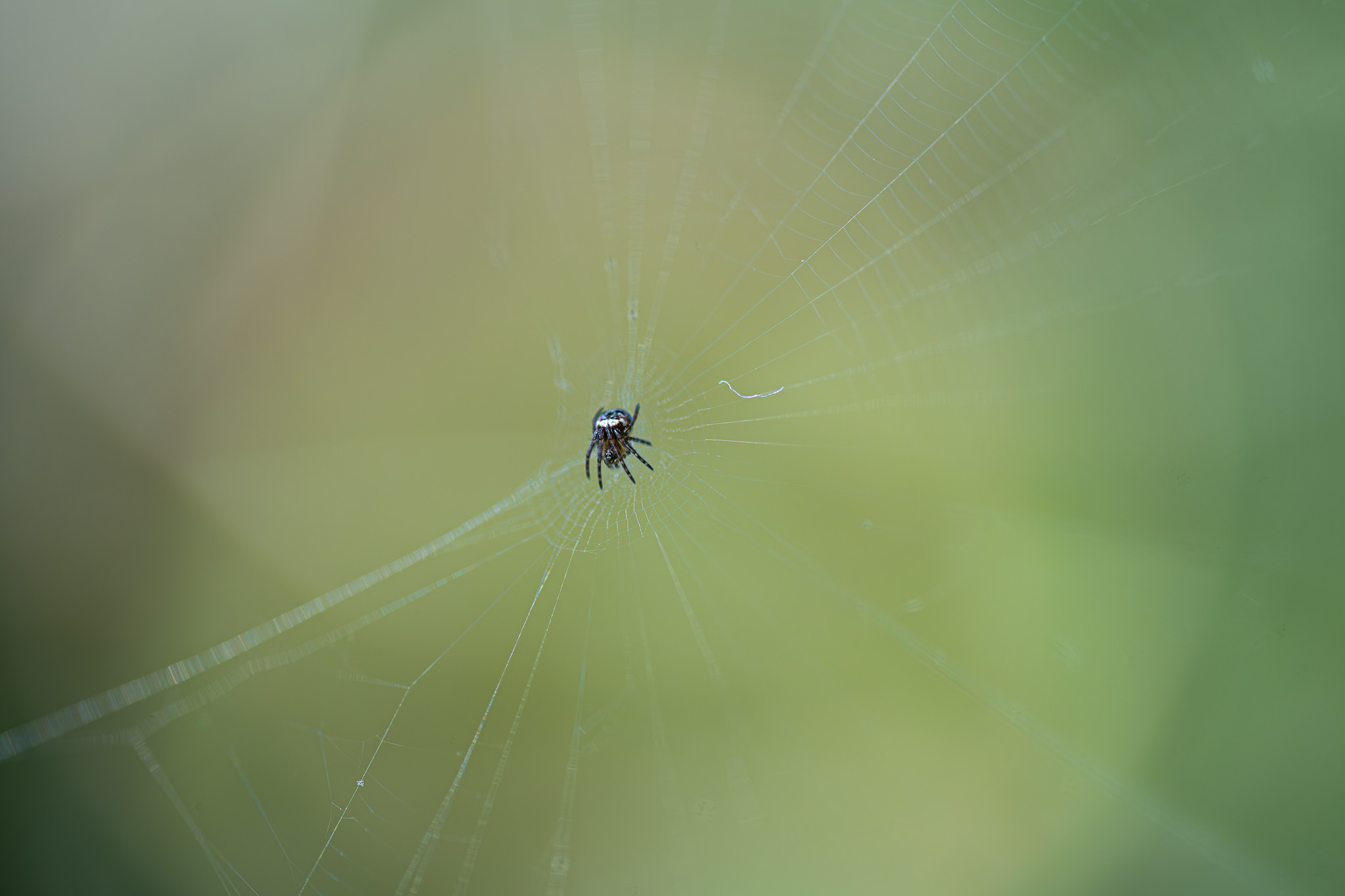 Photo 2025110318212601839