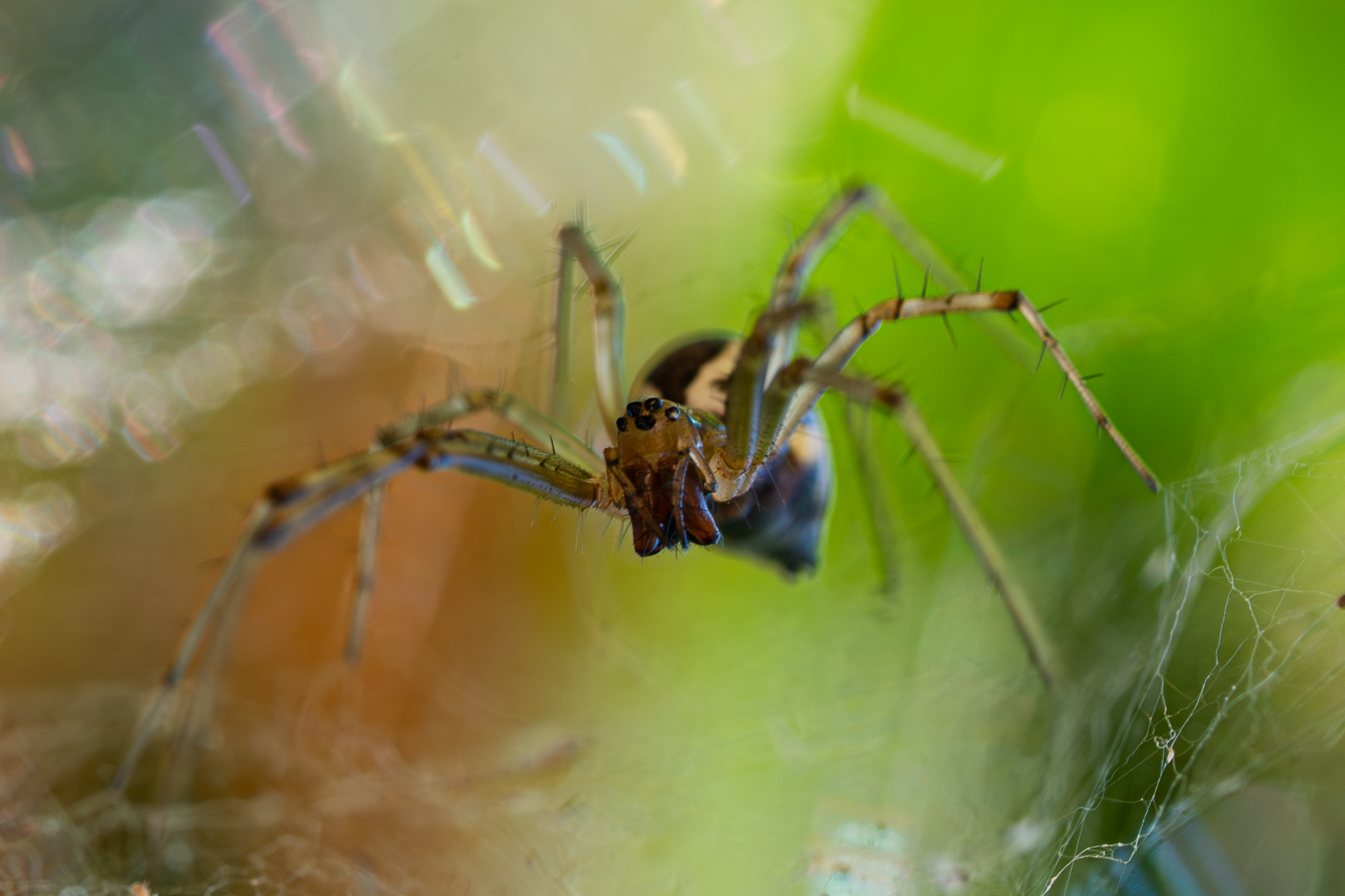 Photo 2025110318220201832